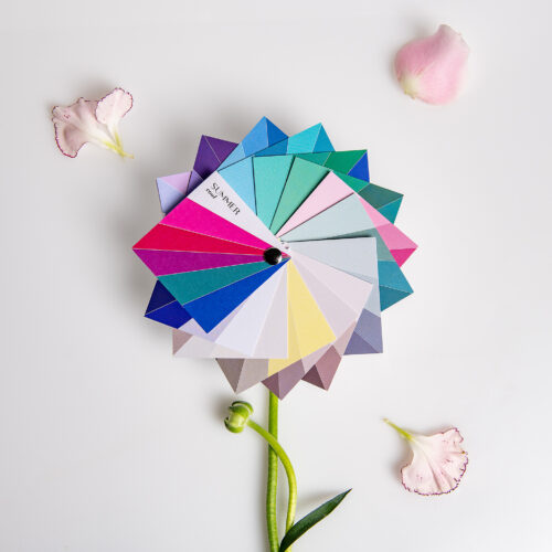 Summer Cool Palette