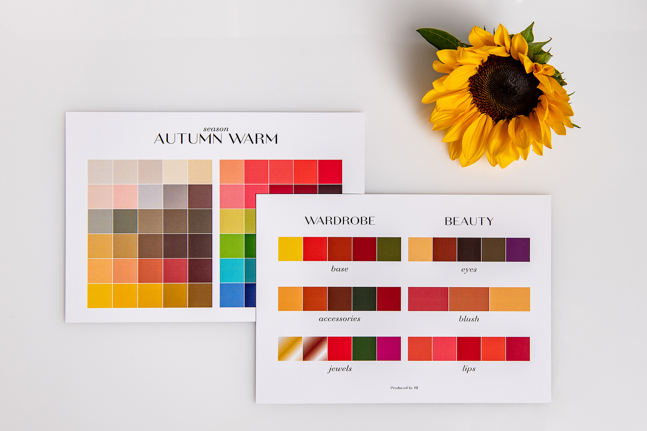 Autumn Warm Palette