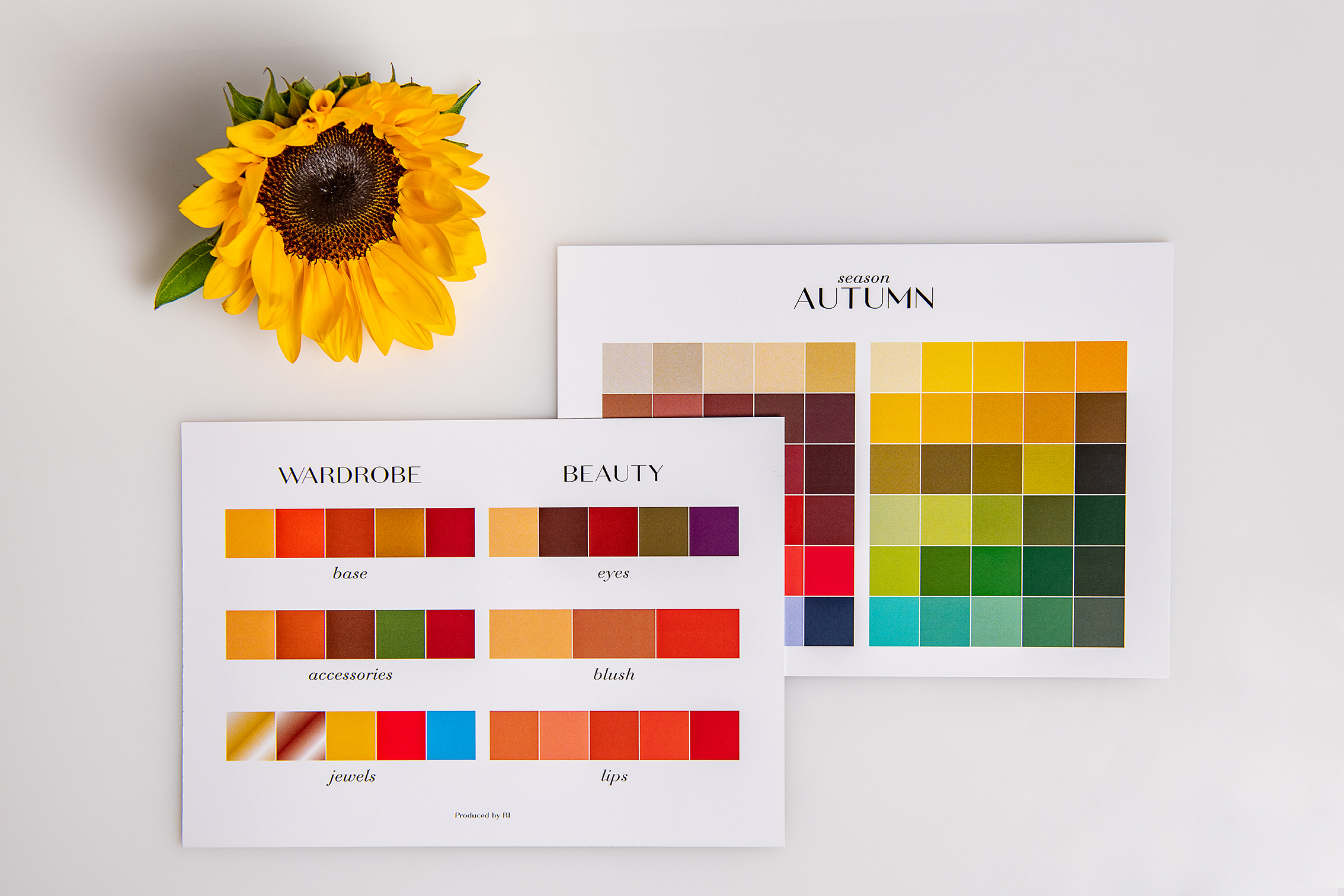 Autumn Palette